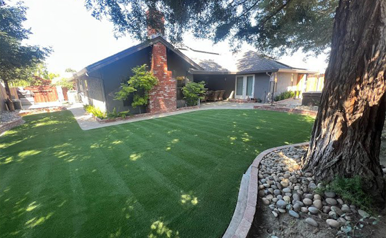 Front Yard Landscaping Mistakes That Homeowners Regret Every Summer